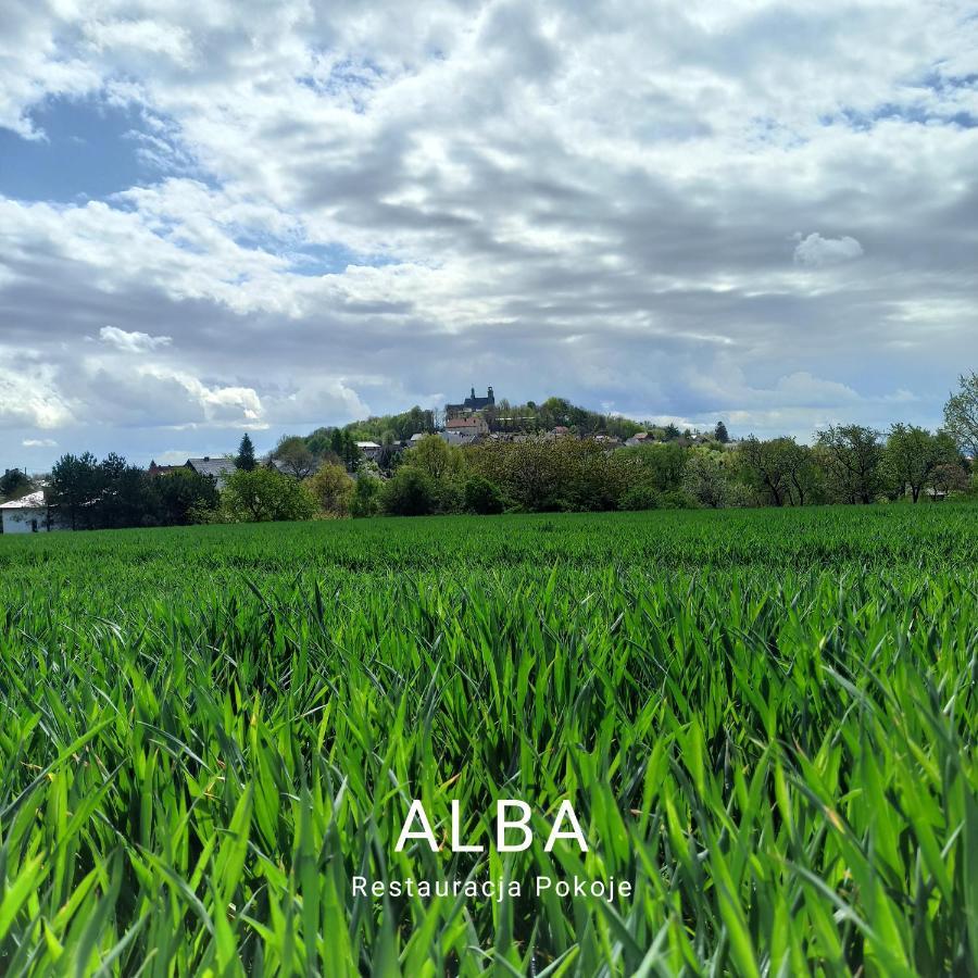 Alba Gora Sw Anny Restauracja I Pokoje Gora Swietej Anny Exterior foto