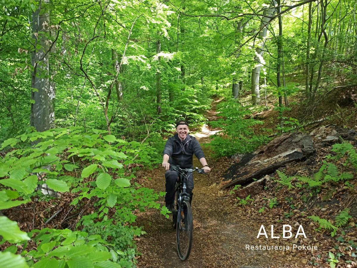 Alba Gora Sw Anny Restauracja I Pokoje Gora Swietej Anny Exterior foto